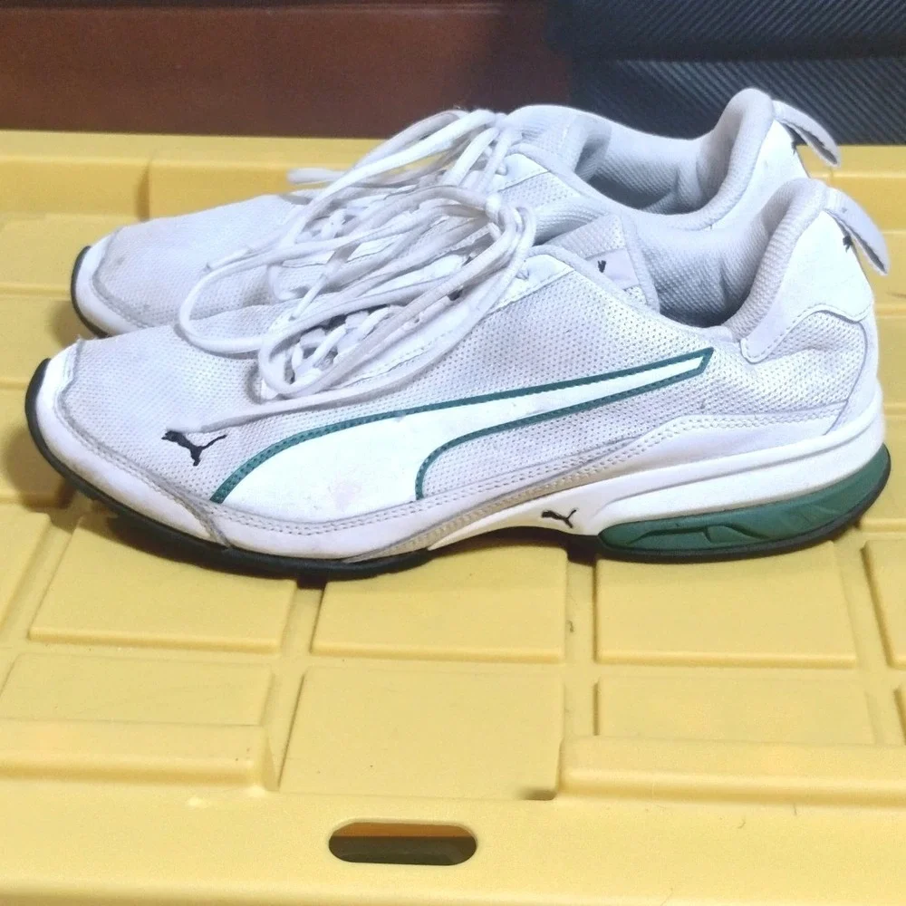 Puma brand model